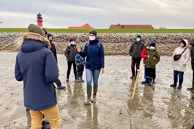 Wattwanderung vor Büsum