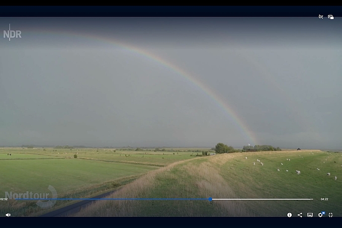 Regenbogen, Deich und Schafe