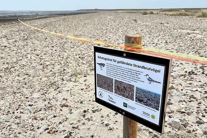 Infoschild am Brutgebiet Infoschild am Brutgebiet