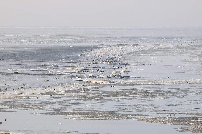 Arktis wirkender Nationalpark