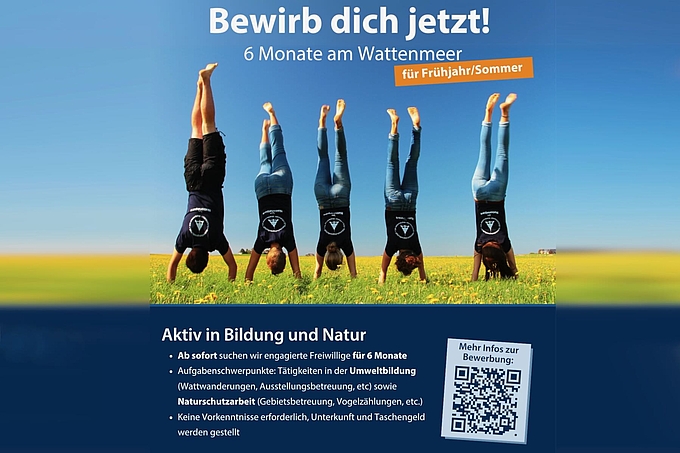 Team im Handstand