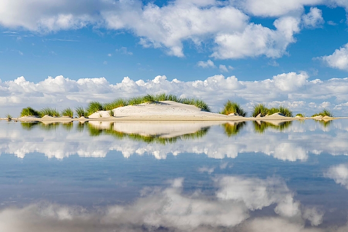 Vordüne spiegelt sich in Wasserfläche