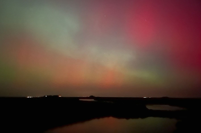 Purpur, Grün und Orange der Hallig