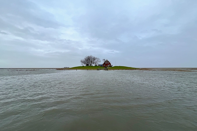 Peterswarf bei Landunter