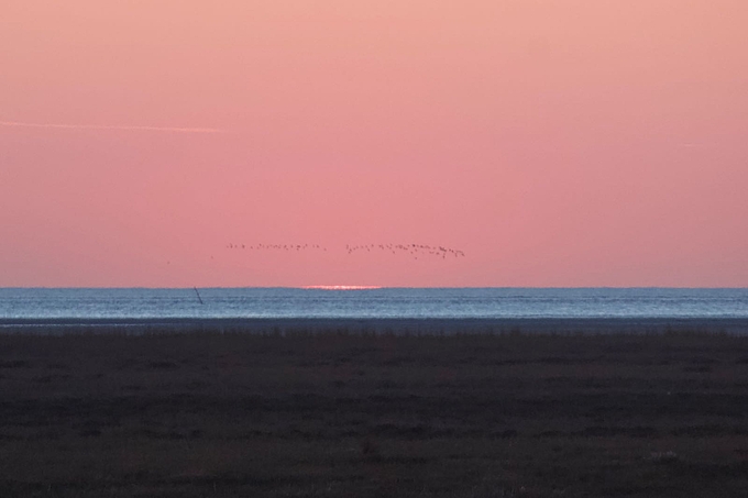 Sonnenuntergang an der See