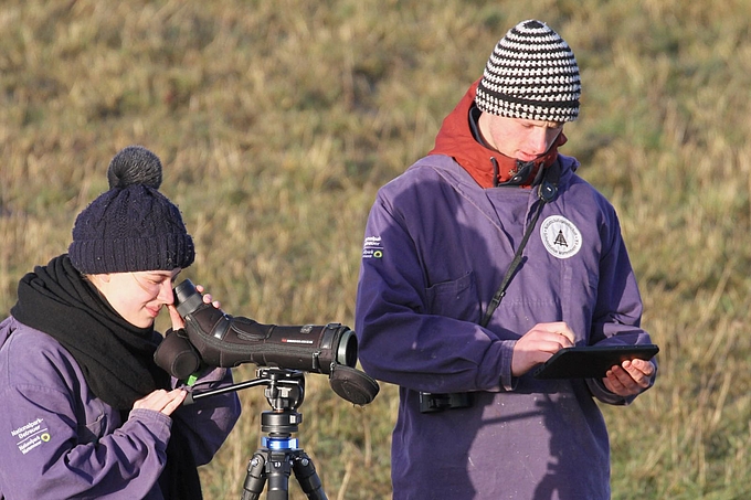 Vogelkartierung mit Fernrohr und Tablet