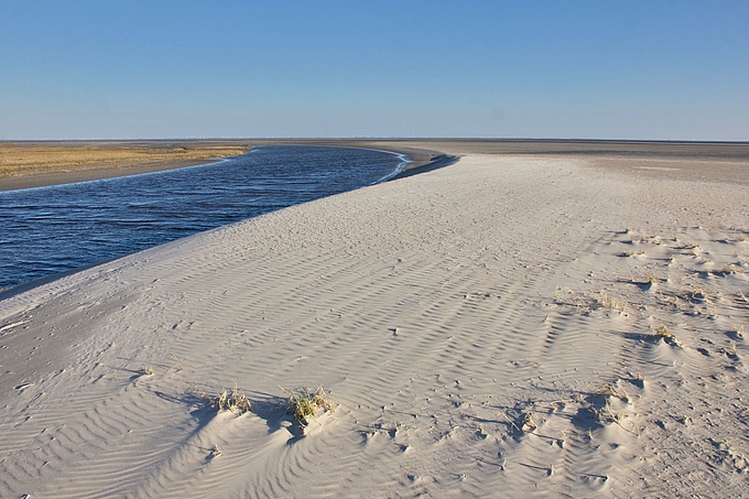 Frische Windrippeln auf einer Sandbank