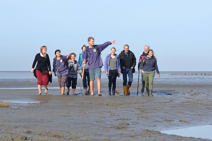 Freiwillige mit Wattwandergruppe