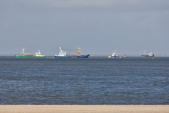 Vier Muschelfangschiffe auf Fischzug vor dem Hörnumer Strand