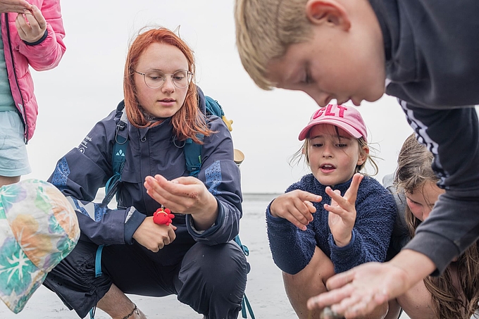 Kinder untersuchen mit Freiwilliger das Watt Kinder untersuchen mit Freiwilliger das Watt