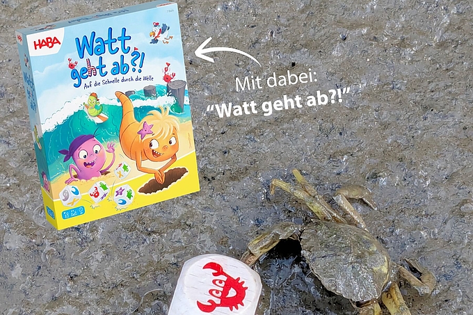 Spiel - Watt geht ab?!