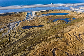 Luftbild des Vorlands von St. Peter-Ording