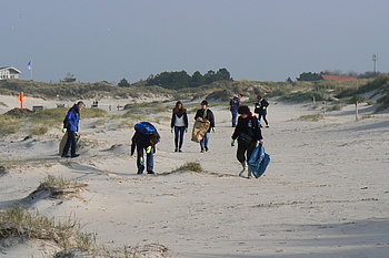 Müllsammlung an den Dünen