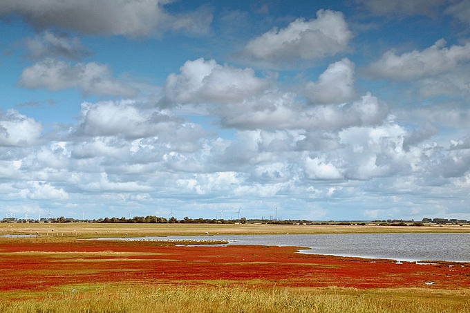 Wöhrdener Loch in Herbstfarben