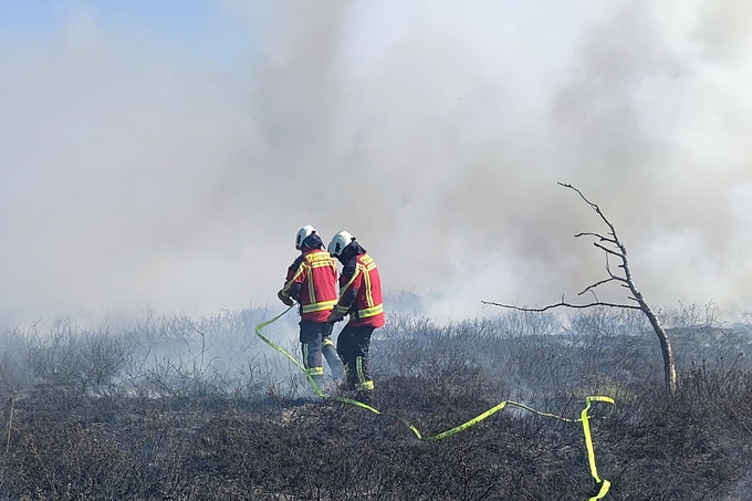 Zwei Feuerwehrleute in Brandfläche