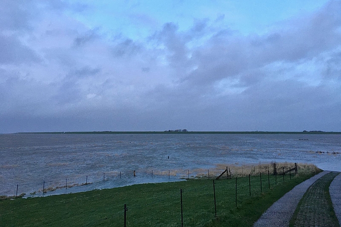 Blick von der Warft über die überflutete Salzwiese zum Seedeich