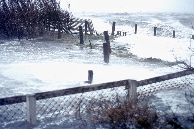 Wellen branden an Büsche und Zaun