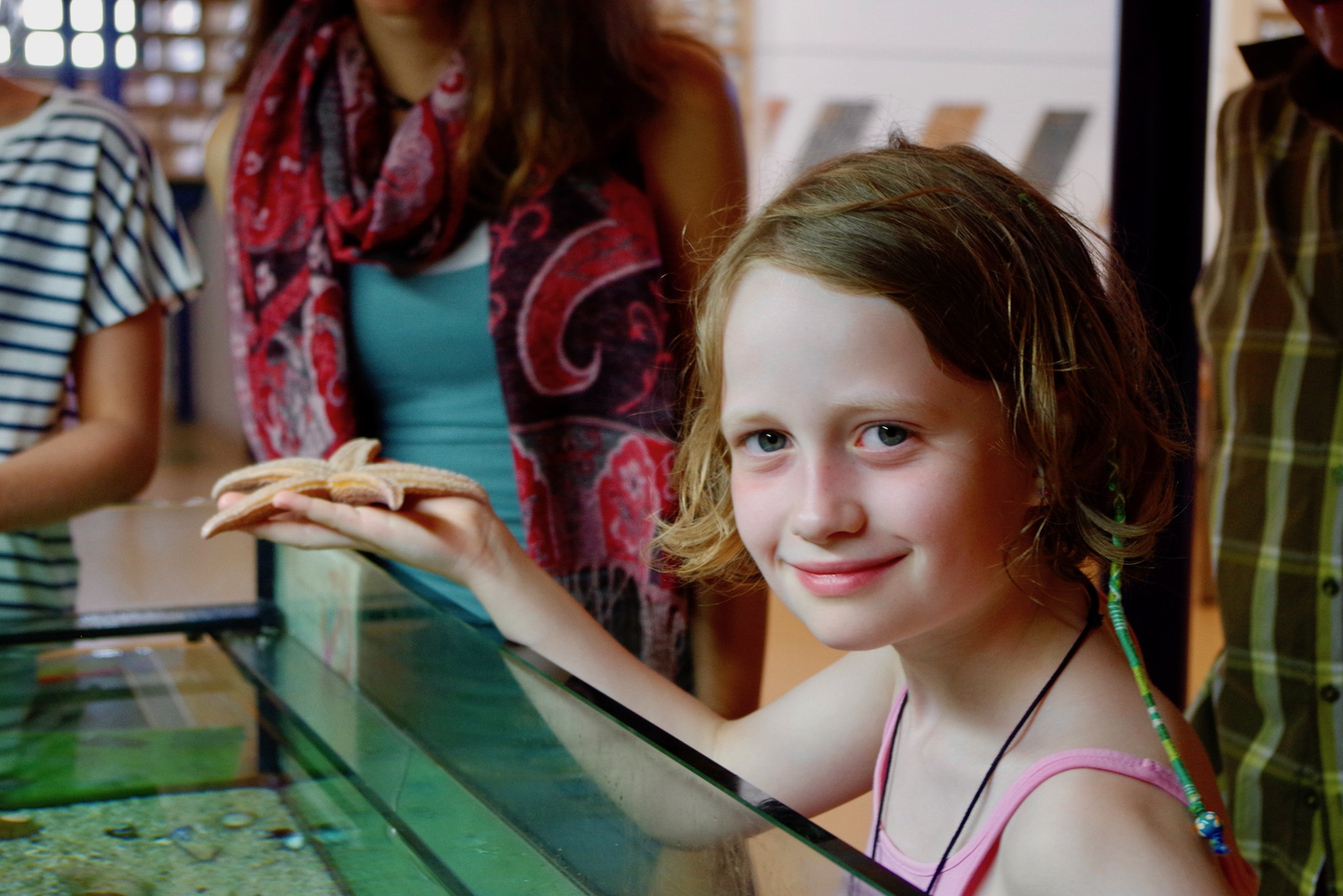 Kind hält Seestern vom Aquarium in der Hand