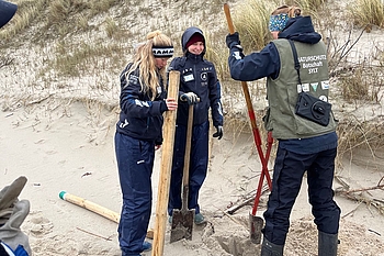 Team beim Ausheben von Löchern