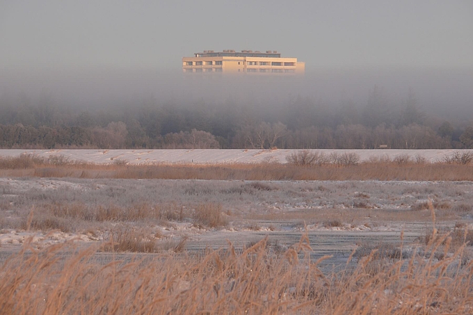 Hochhaus ragt aus flachem Nebel