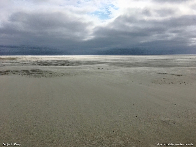 Fliegende Sandschwaden auf dem Süderoogsand.