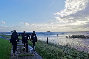 Freiwillige blicken über die Hallig