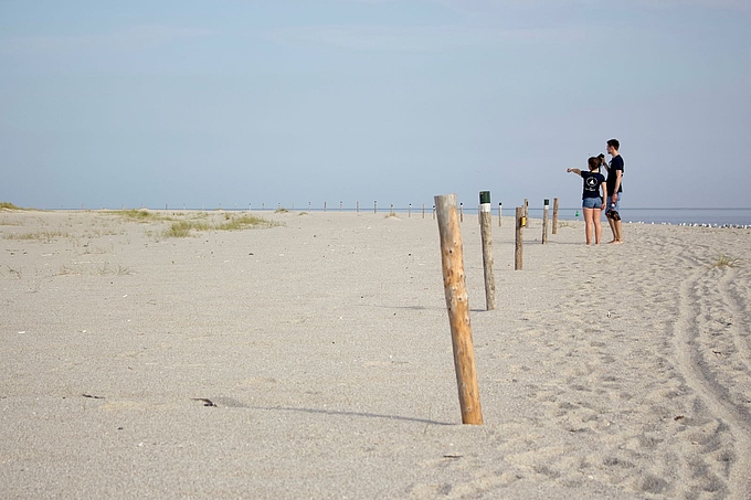 Pfahlreihe auf dem Strand