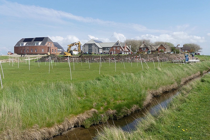 Warftverstärkung Hanswarft Hooge