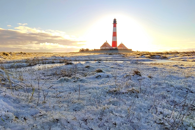 Leuchtturm Westerhever und Graupel in der Salzwiese