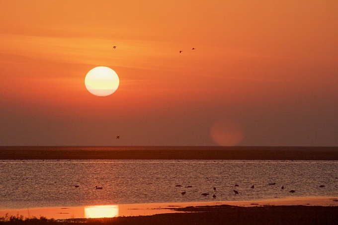 Sonnenuntergang am Watt