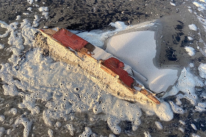 Holzteil im Flachwasser am Strand