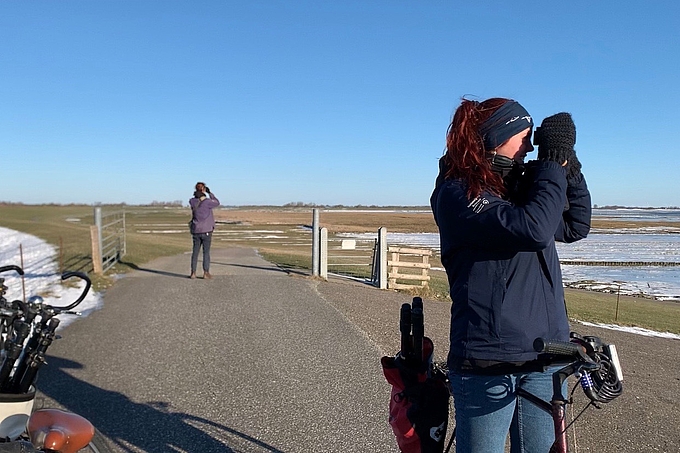 Vogelzählerinnen mit Fahrrädern am Deich bei St. Peter-Ording