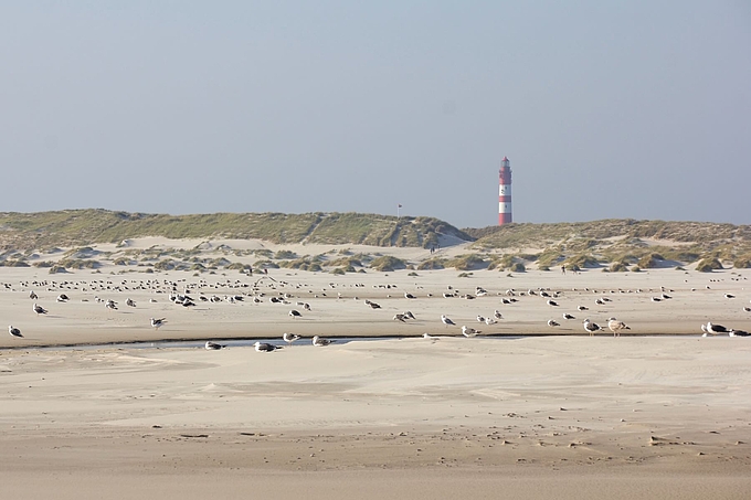Blick vom Kniepsand zum Leuchtturm