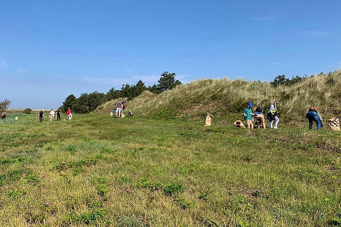 Sammelgruppe an der Dünenkette vor dem Wald