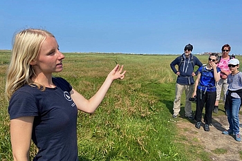 Salzwiesenführung vor St. Peter-Ording