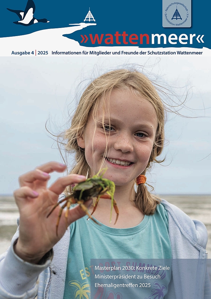 Titelseite von Wattenmeer-Heft 2025 Nr. 4 Titelseite von Wattenmeer-Heft 2025 Nr. 4
