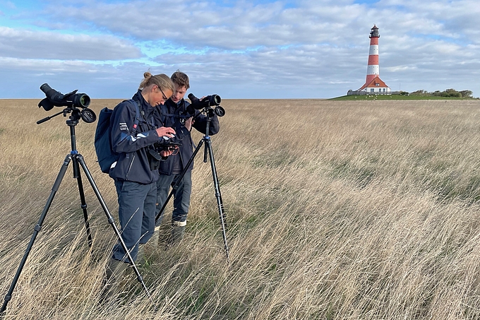 Brutvogelzählung 2022 vor Westerhever