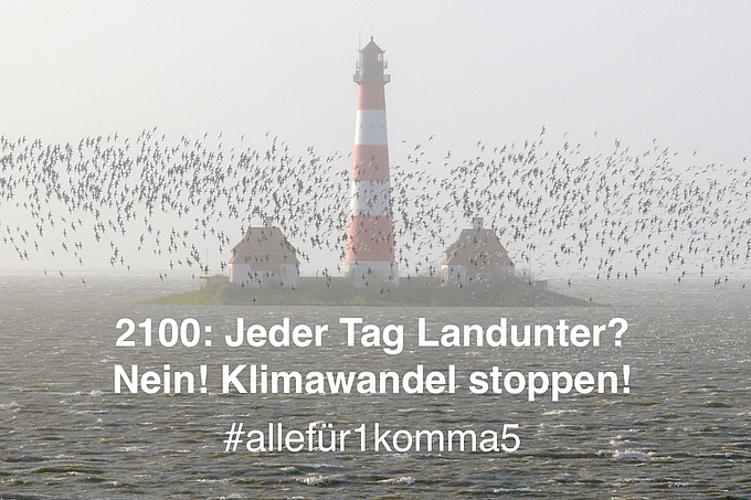 Leuchtturm Westerhever bei Landunter mit Vogelschwarm darüber.