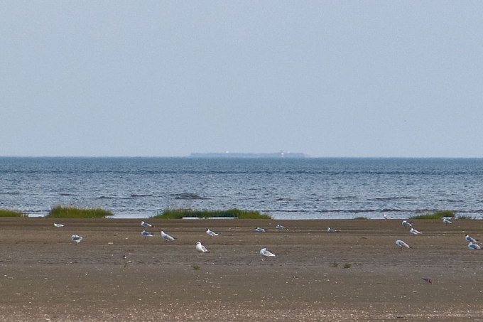Schiff am Horizont