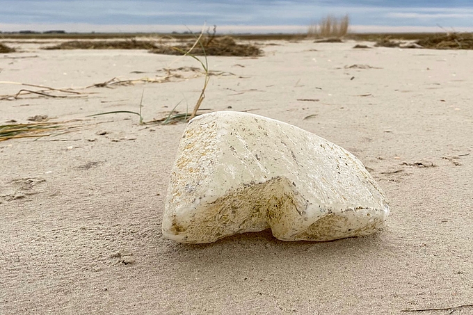 Paraffinbrocken auf Sandbank