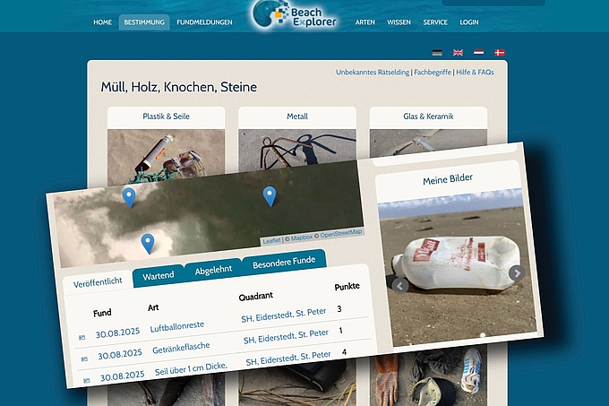 Montage Webseite Explorer und Fundmeldung