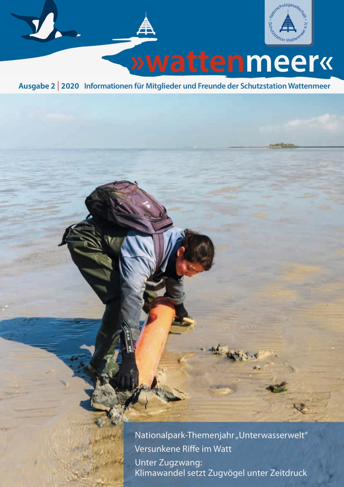 Titelblatt des "wattenmeer"-Hefts mit Abbildung einer Freiwilligen bei der Wattkartierung