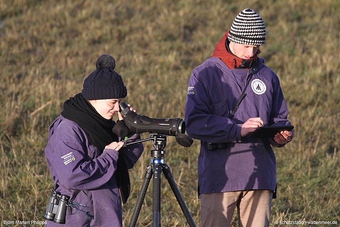 Vogelkartierung mit Fernrohr und Tabletcomputer