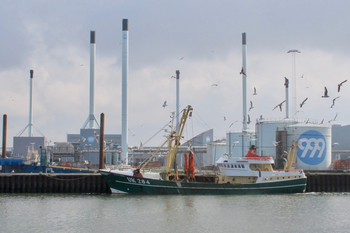 Fischmehlfabrik in Esbjerg