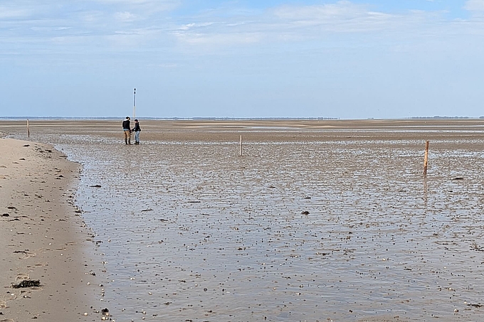 Team mit neu gesetzten Pfählen