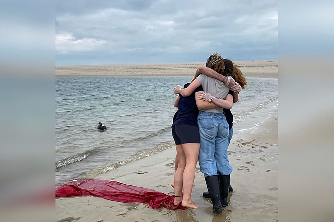 Vogel im Wasser und Team am Strand