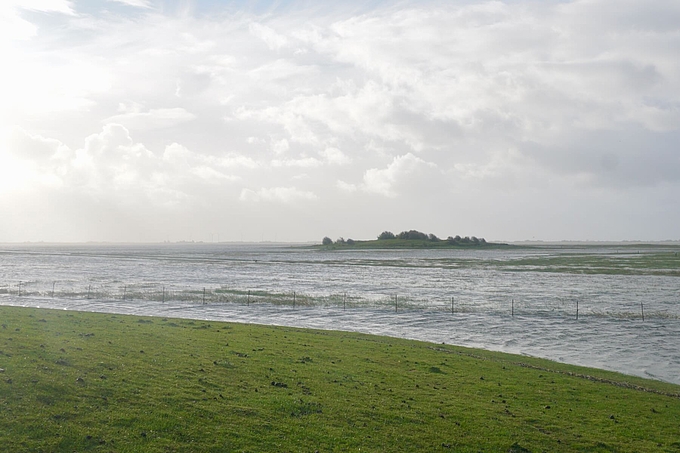 Umspülter Schafberg vor Westerhever