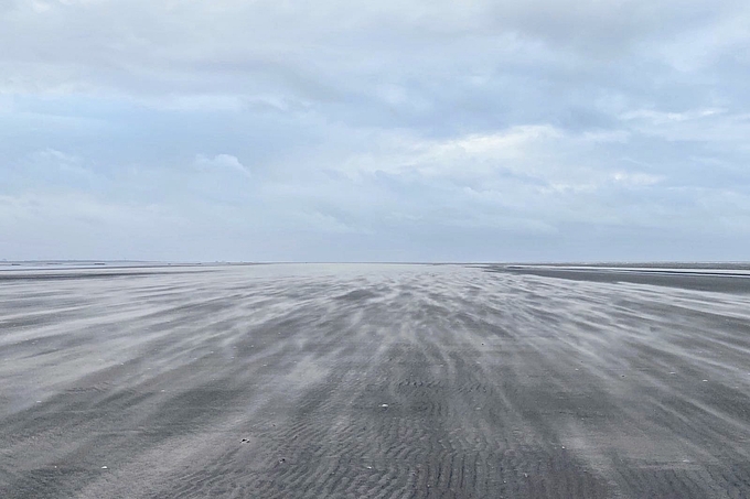 Fliegende Sandfahnen vor Westerhever