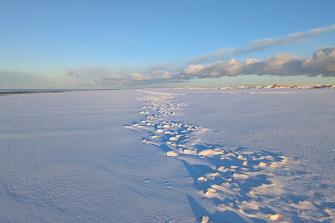 Verschneiter Spülsaum auf dem Kniepsand