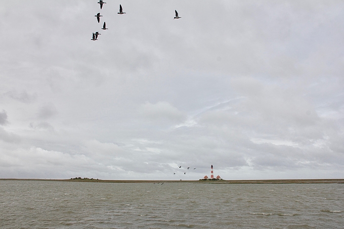 Der Leuchtturm Westerhever im weitgehend überfluteten Vorland.